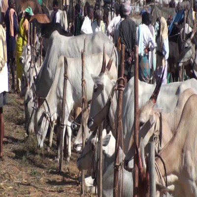 Kundri Mela Trip